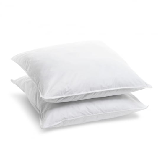 Maxzzz Oreiller 65x65 Lot de 2, Anti-acarien Anti-Transpiration  Hypoallergénique,Oreiller Moelleux 100% Fibre Polyester, Respirant Confort  et Soutien Efficace en destockage et reconditionné chez DealBurn